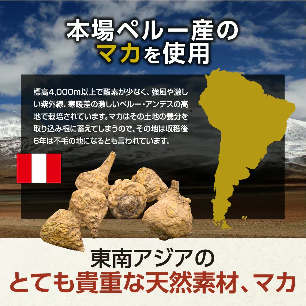 マカ《約1ヶ月分》サプリ 亜鉛 鉄 必須アミノ酸 男性 女性 妊活 元気 エネルギー ビタミン ミネラル 健康  マカ 日本製