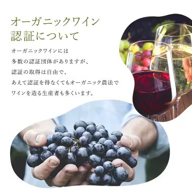 お試し 全部 オーガニックワイン 赤ワイン 5本 セット オーガニック認証 ワインのみ ［常温］【4～5営業日以内に出荷】【送料無料】 [W][WT32] 金賞 ボルドー 母の日 父の日 ギフト