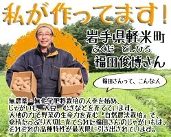 岩手県産 じゃがいも 10kg 無農薬栽培 品種MIX（きたあかり・男爵）