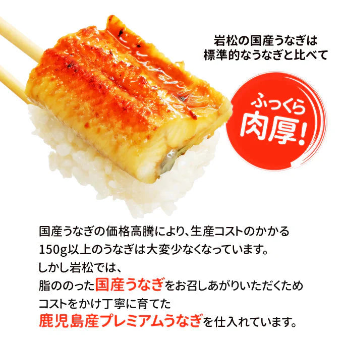 鹿児島産 新 国産 うなぎ蒲焼き 約170g×4尾 送料無料