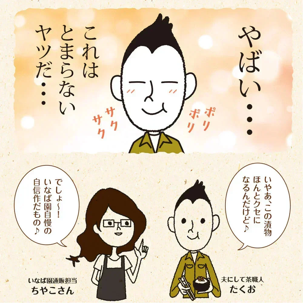 【7個セット】日本橋いなば園 国産きゅうり醤油漬け 100g メール便送料無料