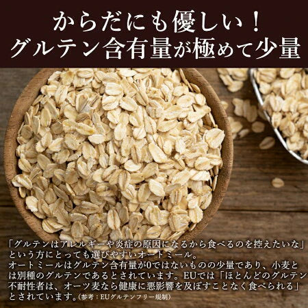 お試し 低糖質 スイーツ オートミール 送料無料【ケーキ屋さんの低糖質クッキー】ごろごろオートミールシリアルクッキー16枚  [ 置き換えダイエット ダイエット ロカボ スイーツ 食品 食物繊維 低糖質  ]