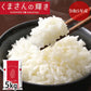くまさんの輝き 米 5kg 送料無料 令和5年産 熊本県産 お米 白米 玄米 コシヒカリ ヒノヒカリ 森のくまさん