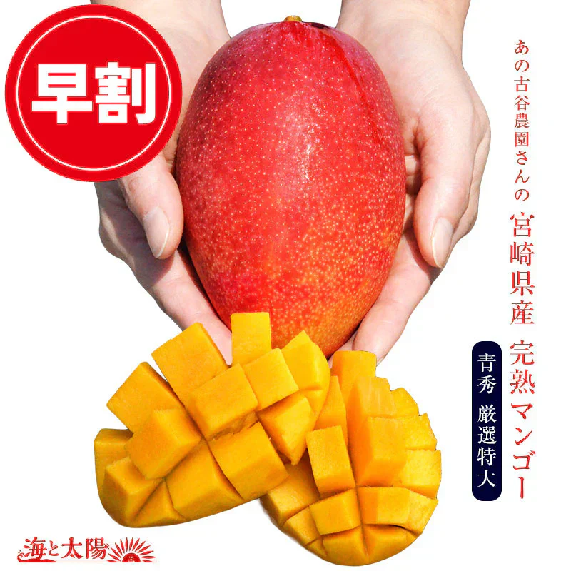 【早割★予約受付開始】 古谷農園さんの＜宮崎完熟マンゴー 青秀 超特大(4L)×2玉or大玉(2L)×3玉（合計1kg以上）＞【沖縄・東北・北海道宛は配送不可】【5月下旬より順次出荷予定】