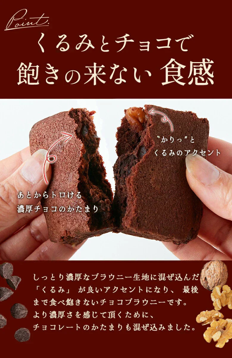 .濃厚ショコラブラウニー5個.【DS08】