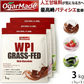 グラスフェッド ホエイプロテイン WPI 3kg 抹茶 (OgarMade) オーガーメイド