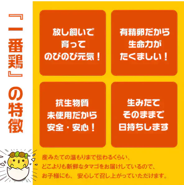 鶏肉専門店の朝引き朝どりセット　水郷どり１羽分 (もも肉2枚 胸肉2枚 ささみ2本) ＋放し飼い自然卵 (5個＋破損補償1個)