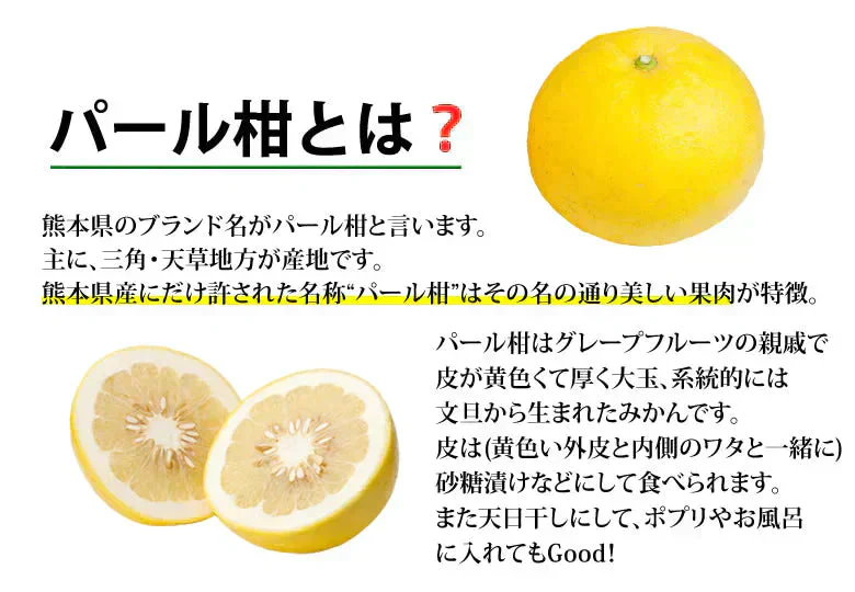 パール柑 5kg 箱込 (内容量4kg+不良果補償分500g)  文旦 みかん 送料無料 訳あり 無選別 サイズ混合 熊本県産 グレープフルーツ 蜜柑