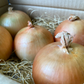 〈国産〉北海道産 大玉玉ねぎ(約1.5kg/5玉)