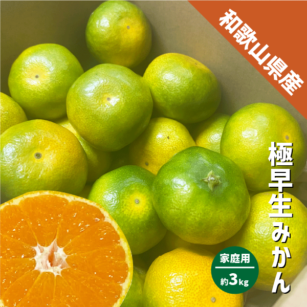 みかん 極早生 和歌山県産 約3kg S〜Lサイズ ご家庭用 紀南 有田 ミカン 極早生みかん ご自宅