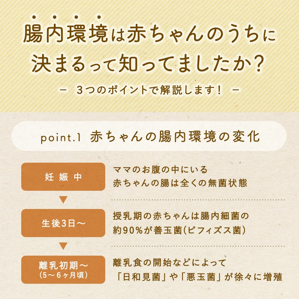 はぐたす　納豆パウダー　離乳食　70g　ベビーフード　ドッグフード　無添加　国産