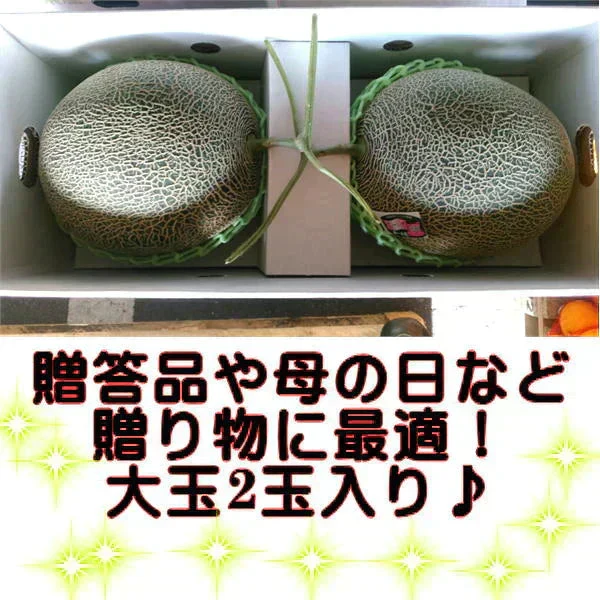 【6月上旬～7月上旬発送予定】肥後グリーンメロン　大玉　2玉入り(1玉1.6kg以上）　熊本産