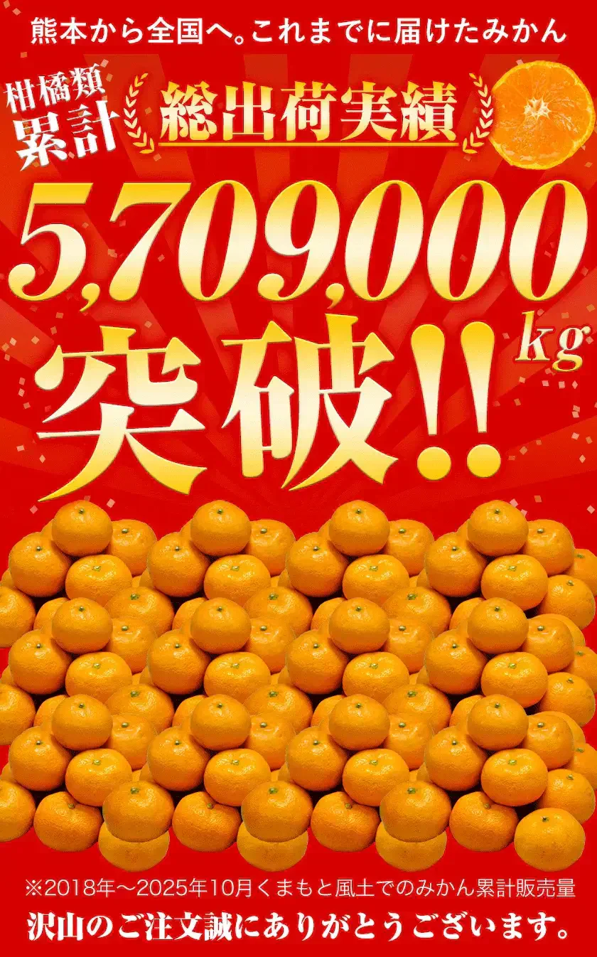 産地直送 熊本県産 みかん 訳あり 送料無料 熊本ミカン 大玉 小玉 不選別 規格外 果物 柑橘 九州 訳アリ 蜜柑 みかん 3-7営業日以内に発送予定（土日祝除く）