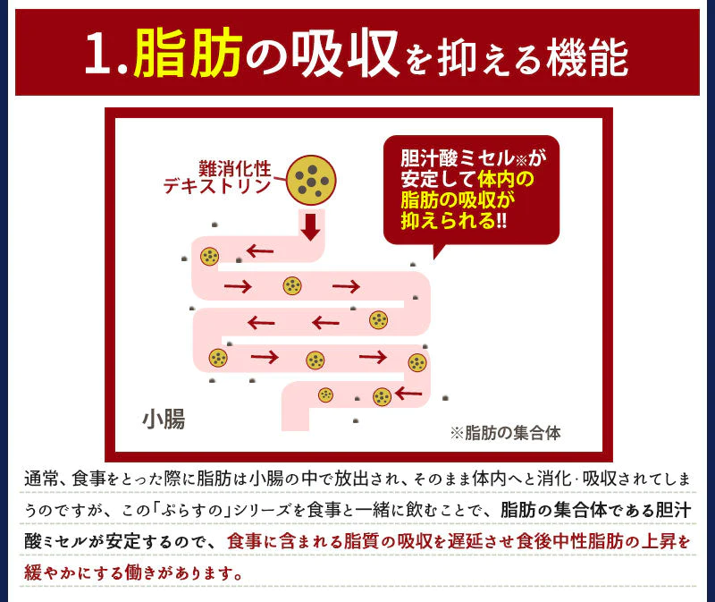 脂肪の吸収を抑える炭酸水 送料無料ぷらすの炭酸水 500mlPET×48本[脂肪 糖 整腸][機能性表示食品][賞味期限：1ヶ月以上]【1〜2営業日以内に出荷】強炭酸水 ソーダ スパークリング 炭酸水 割材 まとめ買い