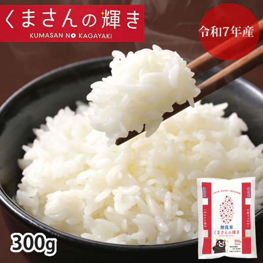 米 くまさんの輝き 【無洗米300g】 白米 送料無料  お試し 令和7年産 熊本県産 お米 白米 玄米 コシヒカリ ヒノヒカリ 森のくまさん