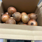 【配送エリア限定※北海道〜関西配送可能】タマネギ 1.2kg 小玉 玉葱 玉ねぎ 北海道産【カウシェファーム収穫対象商品】