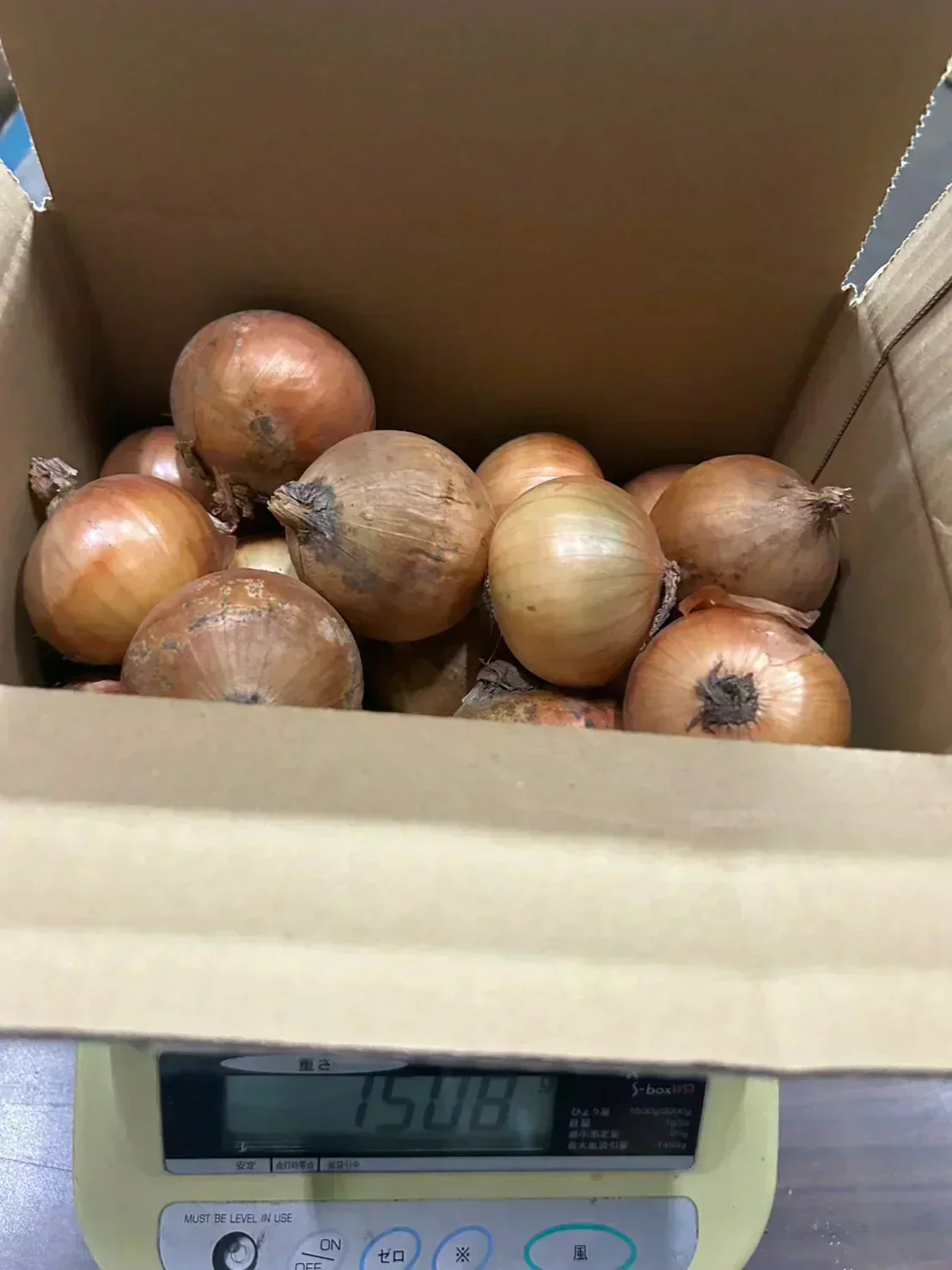 【配送エリア限定※北海道〜関西配送可能】タマネギ 1.2kg 小玉 玉葱 玉ねぎ 北海道産【カウシェファーム収穫対象商品】