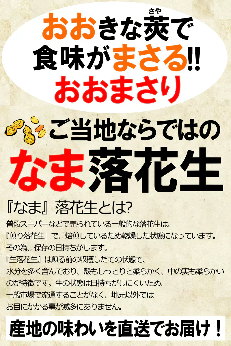 【数量限定】千葉県産　おおまさり　生落花生　2㎏　有機栽培