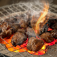 はかた地どり炭火焼セット500ｇ（100ｇ×5ｐ）鶏肉 ギフト 送料無料 地鶏　 冷凍 味付　まかない　お手軽 お取り寄せ お取り寄せグルメ 北海道と沖縄を除き 【送料無料】
