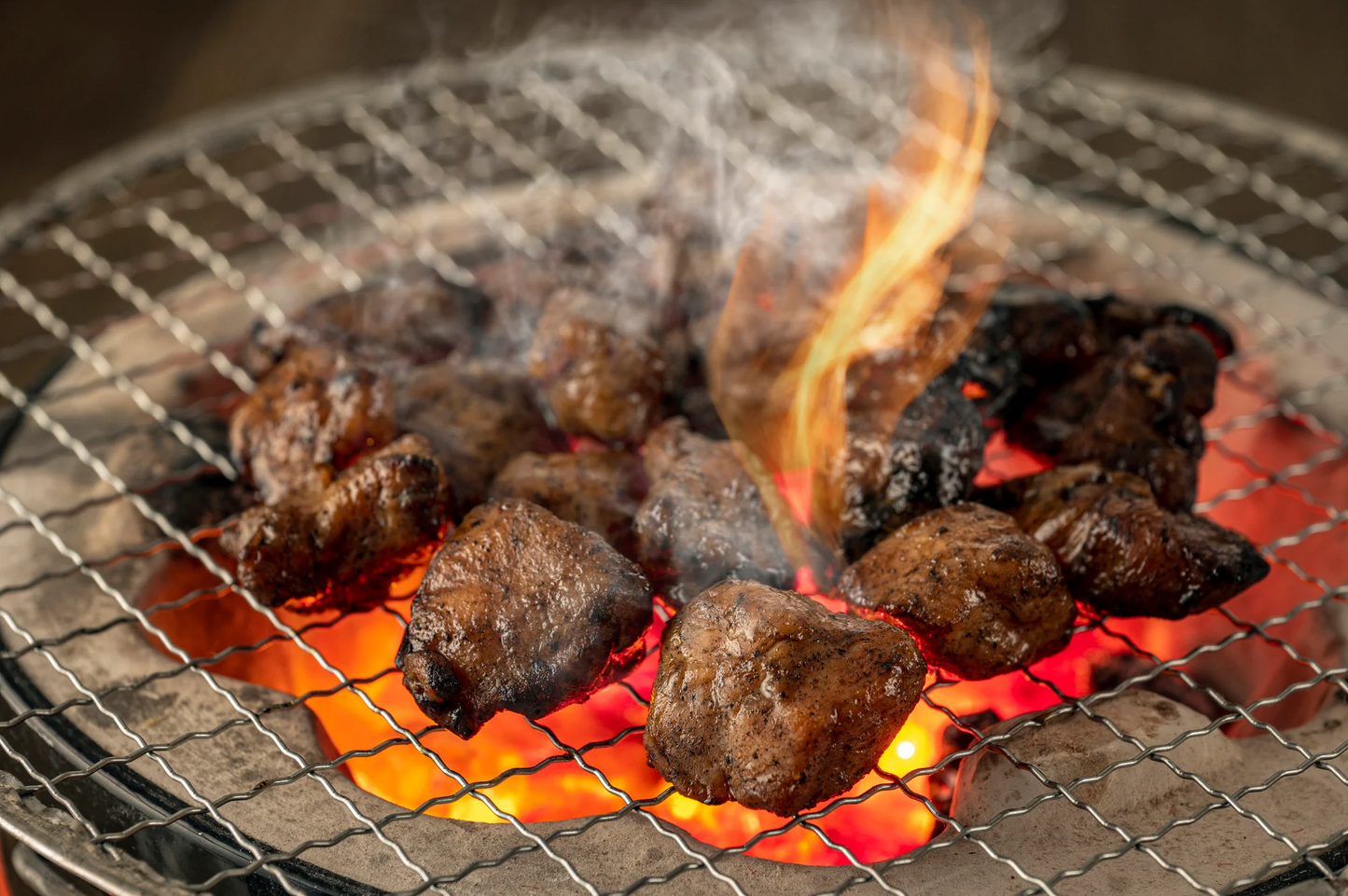 はかた地どり炭火焼セット500ｇ（100ｇ×5ｐ）鶏肉 ギフト 送料無料 地鶏　 冷凍 味付　まかない　お手軽 お取り寄せ お取り寄せグルメ 北海道と沖縄を除き 【送料無料】