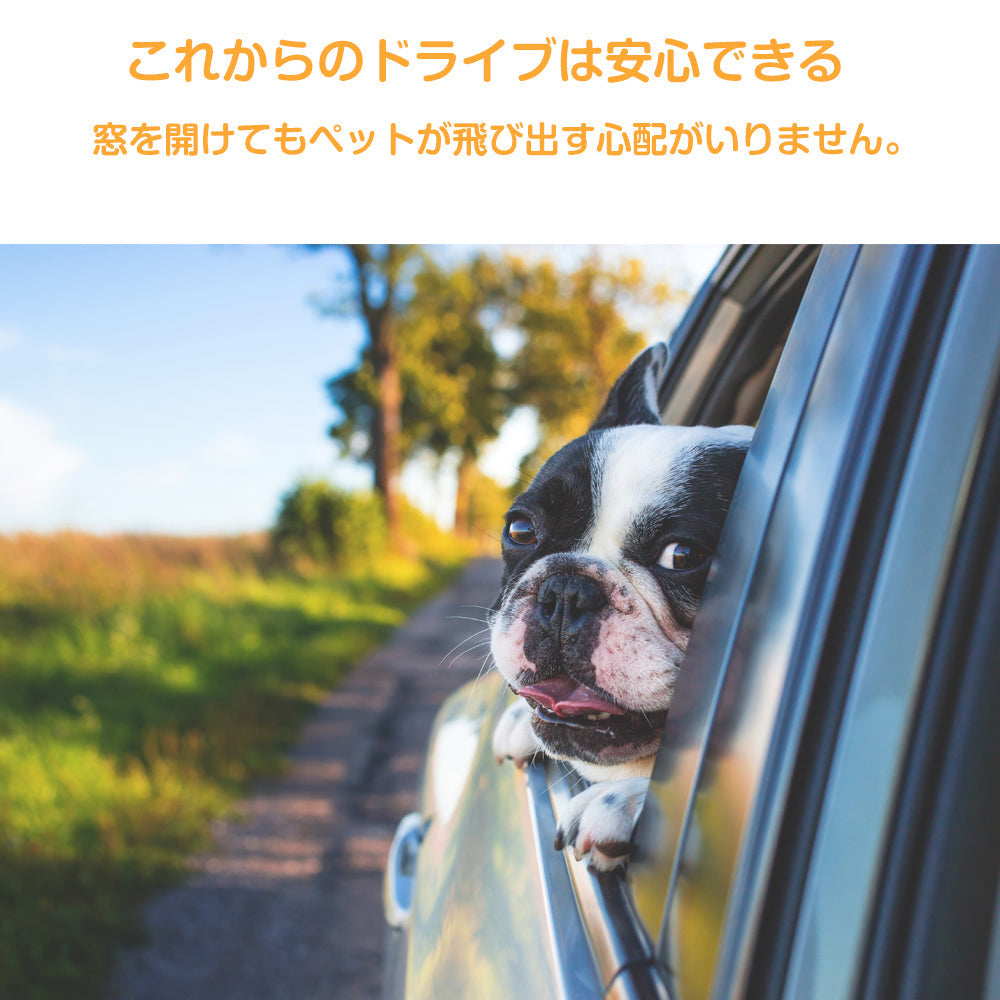 ペット用 シートベルト 犬 猫 お出かけ ドライブ リード 車 首輪 固定 飛び出し防止 長さ調節可能 ケージ クレート バックル挿すだけ リード ハーネスにつける