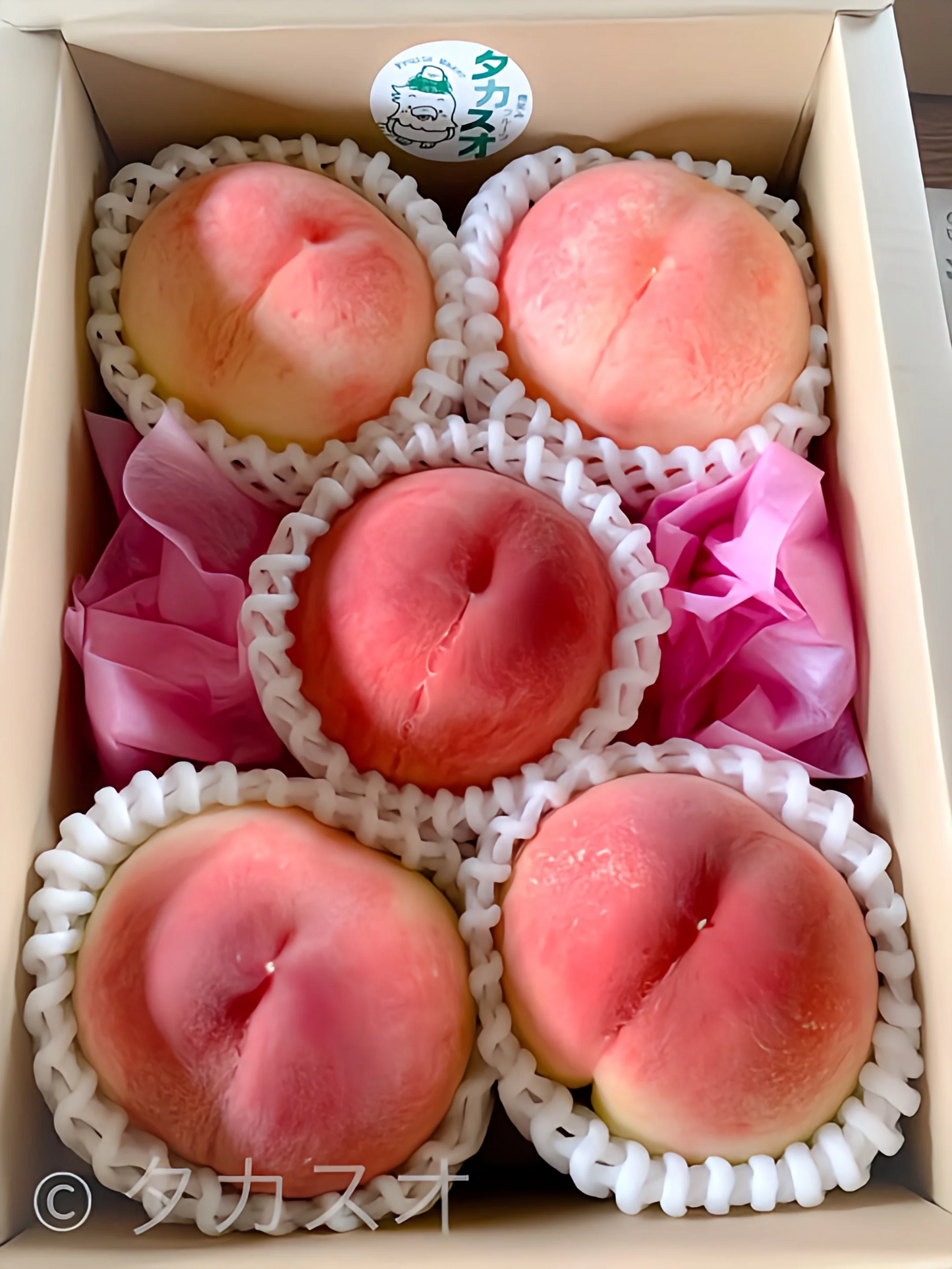 【送料込み】 桃 日川白鳳 白鳳 お裾分け箱 お試し品 産地直送 ４〜５玉入り 光センサー選果で安心 和歌山県産 紀の川名産 ６月下旬より順次発送 ６月下旬【日川白鳳】７月上旬【白鳳】