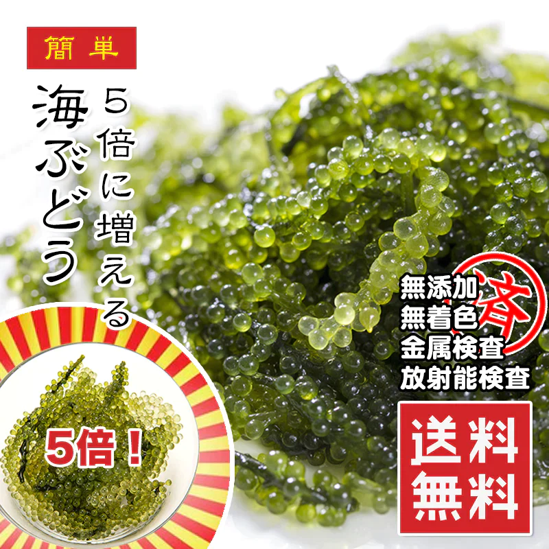 海ぶどう 5倍に膨らむ大容量 x10パック 20袋