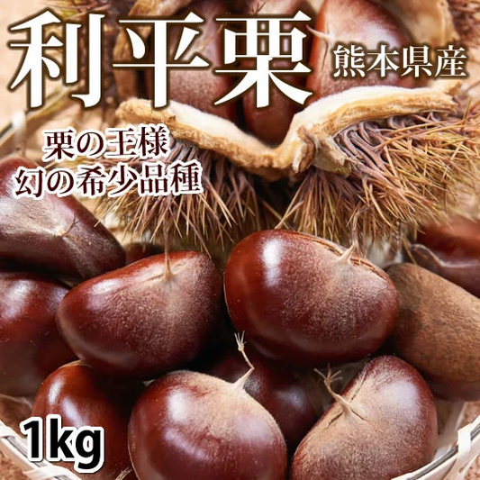 利平栗 栗 送料無料 1kg L～2L クール便 熊本県産 幻の高級和栗 生栗 くり クリ 渋皮煮