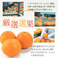 【12月10日前後から順次発送】あいか 2.5kg 訳あり サイズおまかせ(7-14玉入り)