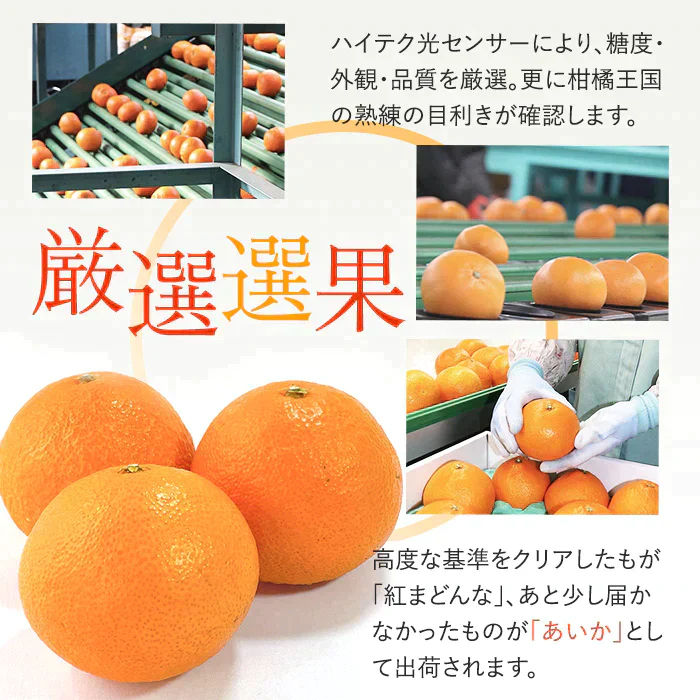 【12月10日前後から順次発送】あいか 2.5kg 訳あり サイズおまかせ(7-14玉入り)