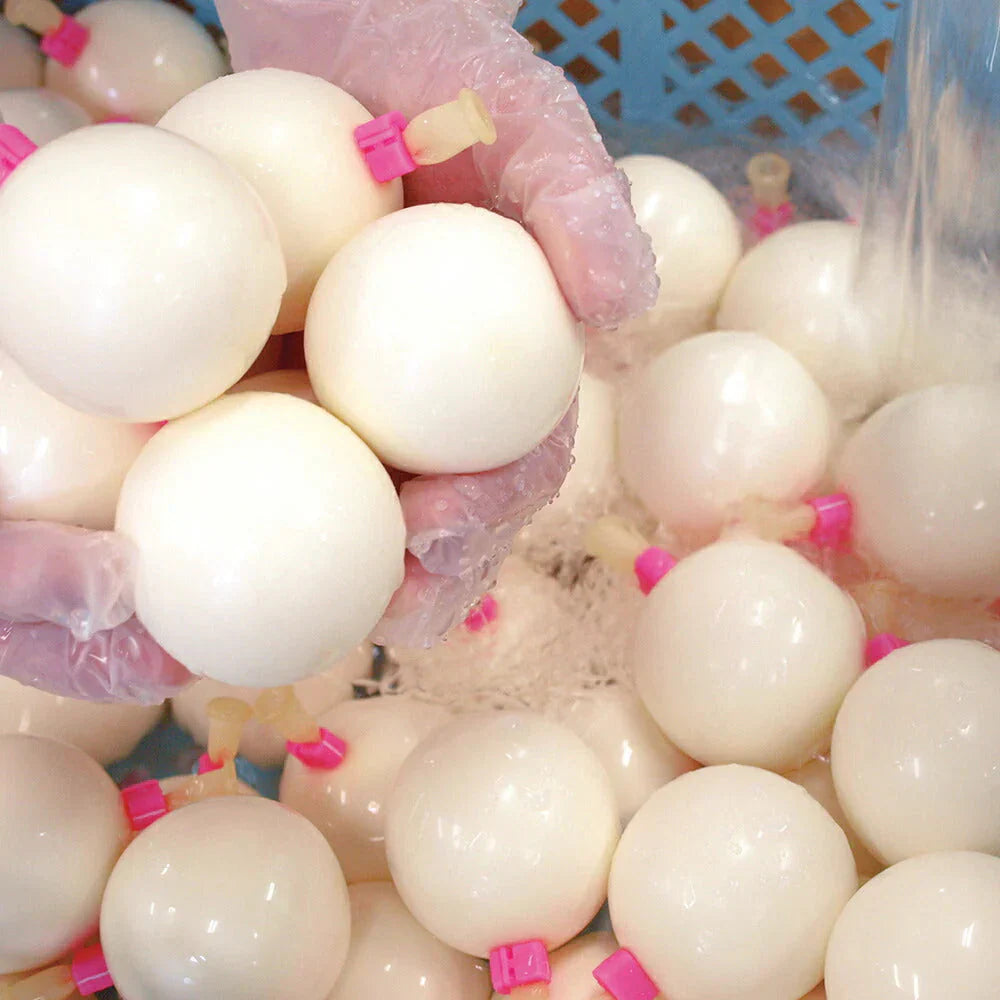 Boccaの2個入プリン 3本セット【送料込み】【二重包装不可】【お届け不可地域：沖縄・離島】