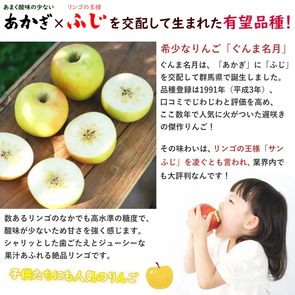 【11月上旬-中旬頃ご注文受付順次】ぐんま名月約5kg箱10-20玉前後 りんご、リンゴ、林檎ふじを超える希少な林檎