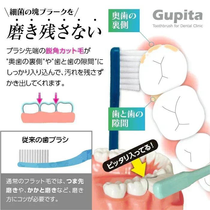 歯科専用歯ブラシ Gupita グピタ (毛のかたさ：Mふつう) 10本セット ／ 理想の歯ブラシ 全5色 個包装 ／ 復興支援商品【メール便送料無料】