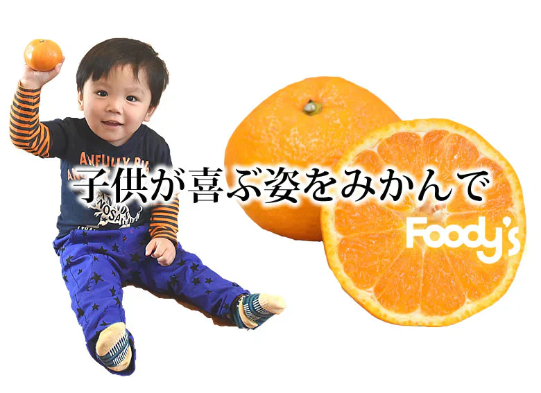 大玉みかん 10kg 2L～4L 秀品 金峯 青島 みかん 送料無料 温州みかん 熊本県産 蜜柑 ミカン フルーツ