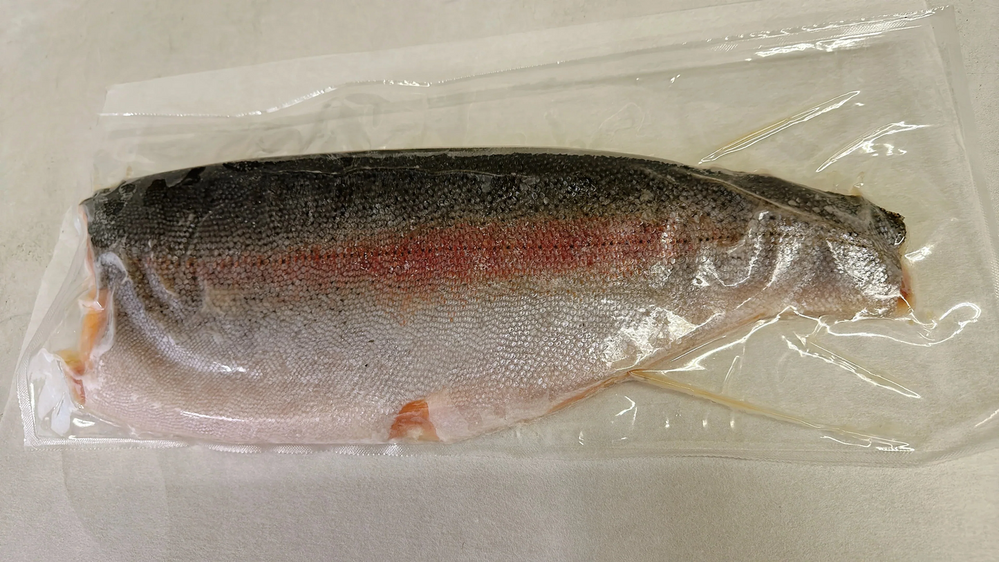 お刺身サーモン フィレ1枚(750g以上) トラウトサーモン 生食用