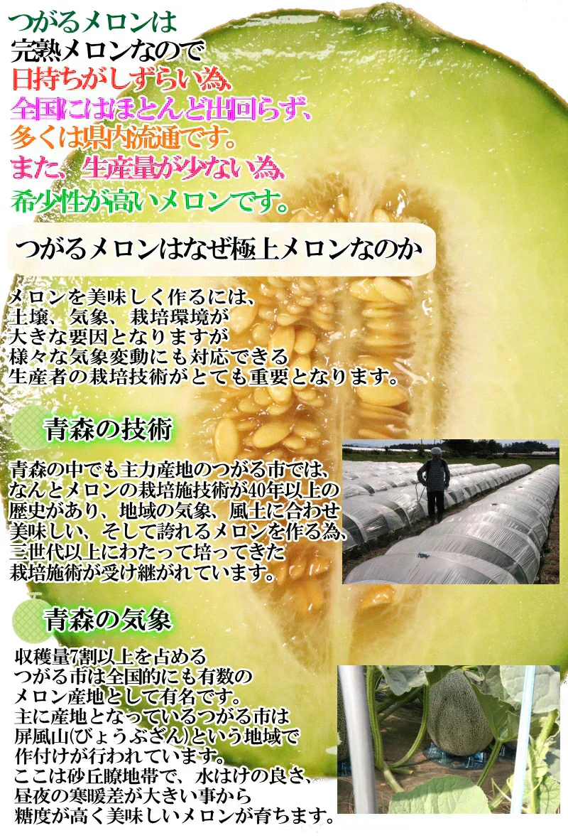 【冷蔵便】青森県産 つがるメロン 2玉(優～秀品 1玉約1.0kg～1.2kg×2玉入り)