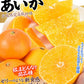 あいか 愛媛産 5kg ご家庭用 （発送予定：11月下旬より）