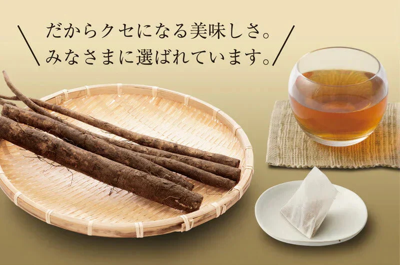 日本橋いなば園 国産ごぼう茶ティーバッグ 20包 ネコポス メール便送料無料
