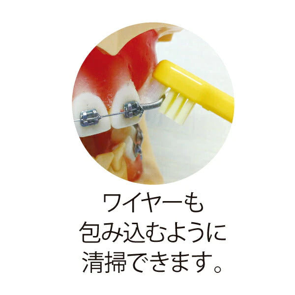 【新世代 歯ブラシ】 Neotuft（ネオタフト）＆Ci クロスケア 各1本セット