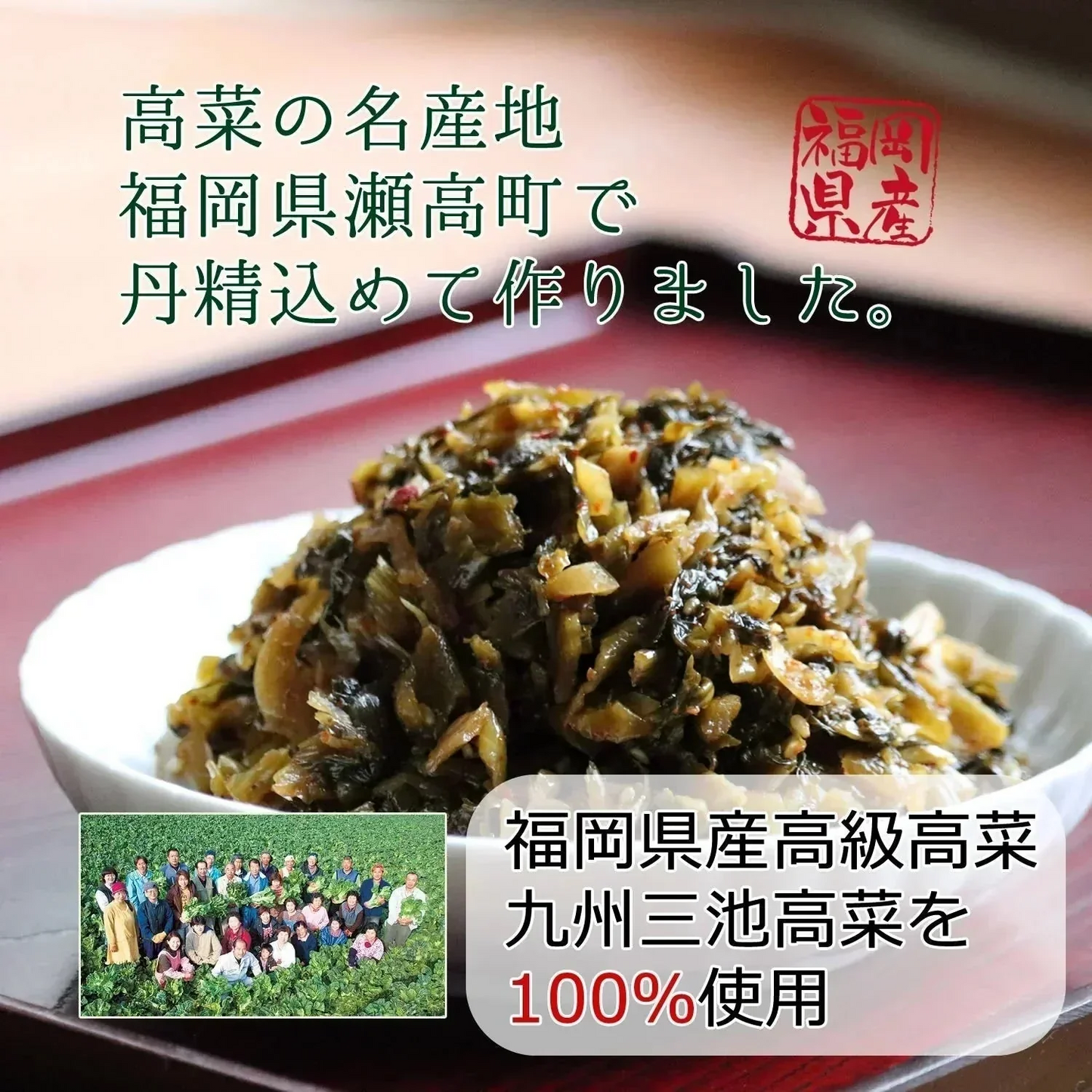【300g】本場福岡県産 辛子高菜 大地のからし高菜  高菜漬け ピリ辛 ご飯のお供 風味豊か 保存食 おにぎり お茶漬け 豚骨ラーメン 炒飯 おつまみ 漬物 国産 常備菜 お弁当 惣菜 食物繊維