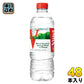 ヴィッテル Vittel 500ml ペットボトル 48本 (24本入×2 まとめ買い)