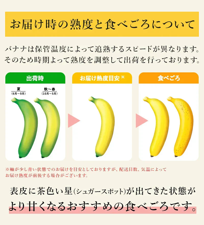 【バナナの王様！】完熟王 バナナ 5kg (約25-30本) ※4kg +1kg保証分 朝食 おやつ