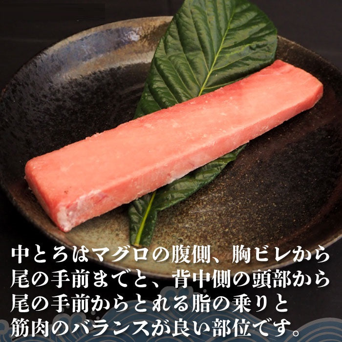 【受注生産】無添加 食べ比べ 大中 トロ セット　計３ｋｇ（1500gずつ） 極上 お刺身 無添加 トロ マグロ まぐろ 天然 国産 ギフト お取り寄せ グルメ お祝い
