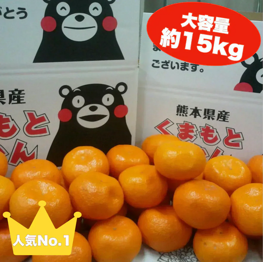 熊本産  みかん 訳あり 約15kg ご家庭用 送料無料