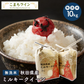 【超得ハイパーSALE】数量限定【無洗米10kg】令和4年産　秋田県産　ミルキークイーン10kg 5kg×2袋　令和4年産　一等米　厳選　送料無料　米　10ｋｇ米びつ当番【天鷹唐辛子】プレゼント付き贈り