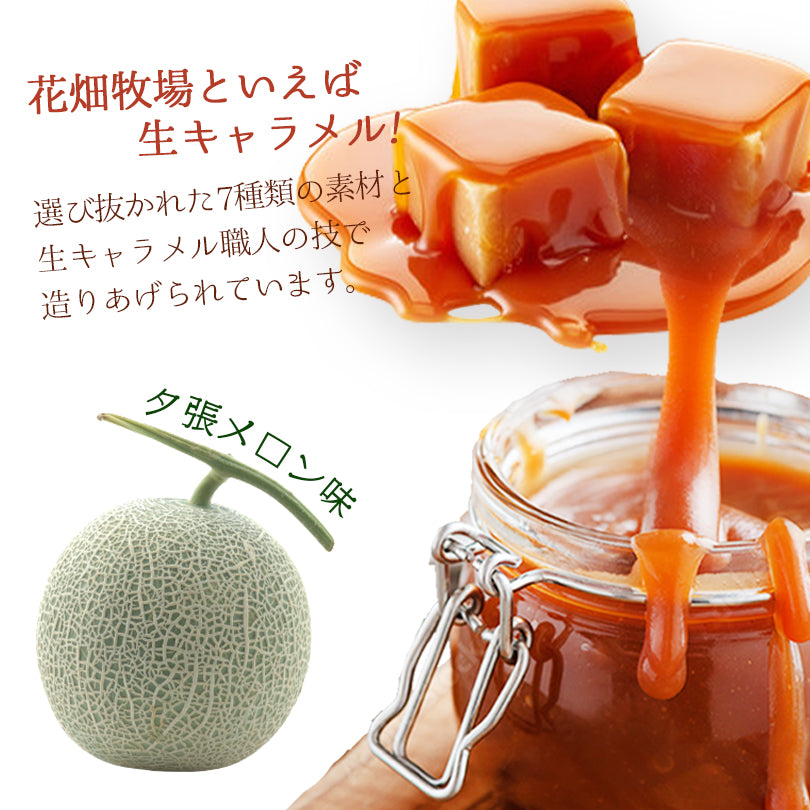 花畑牧場 生キャラメル ドライ 夕張メロン 64g 送料無料 北海道産 スイーツ 手造り とろける プレゼント 贈り物 お土産 手土産 ギフト 夕張メロン メロン果汁 バレンタイン