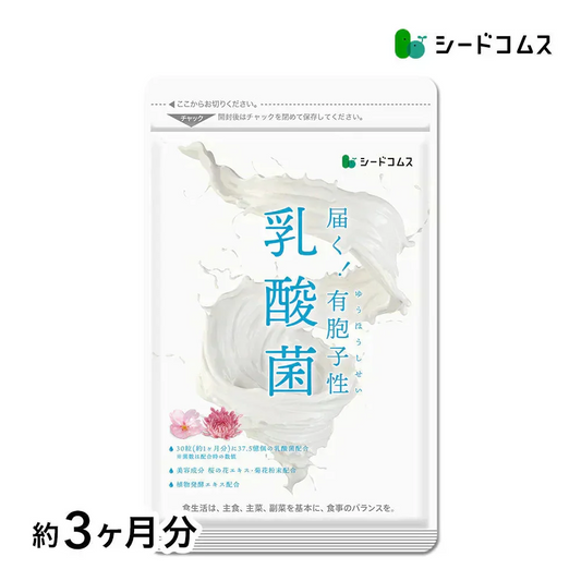 乳酸菌《約3ヶ月分》有胞子性乳酸菌ソフトカプセル/ 乳酸菌 高配合 サプリ 桜の花エキス