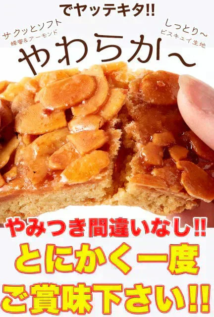 【2026/5/12以降順次出荷となります】６個入り フロランタン＆チョコブラウニー