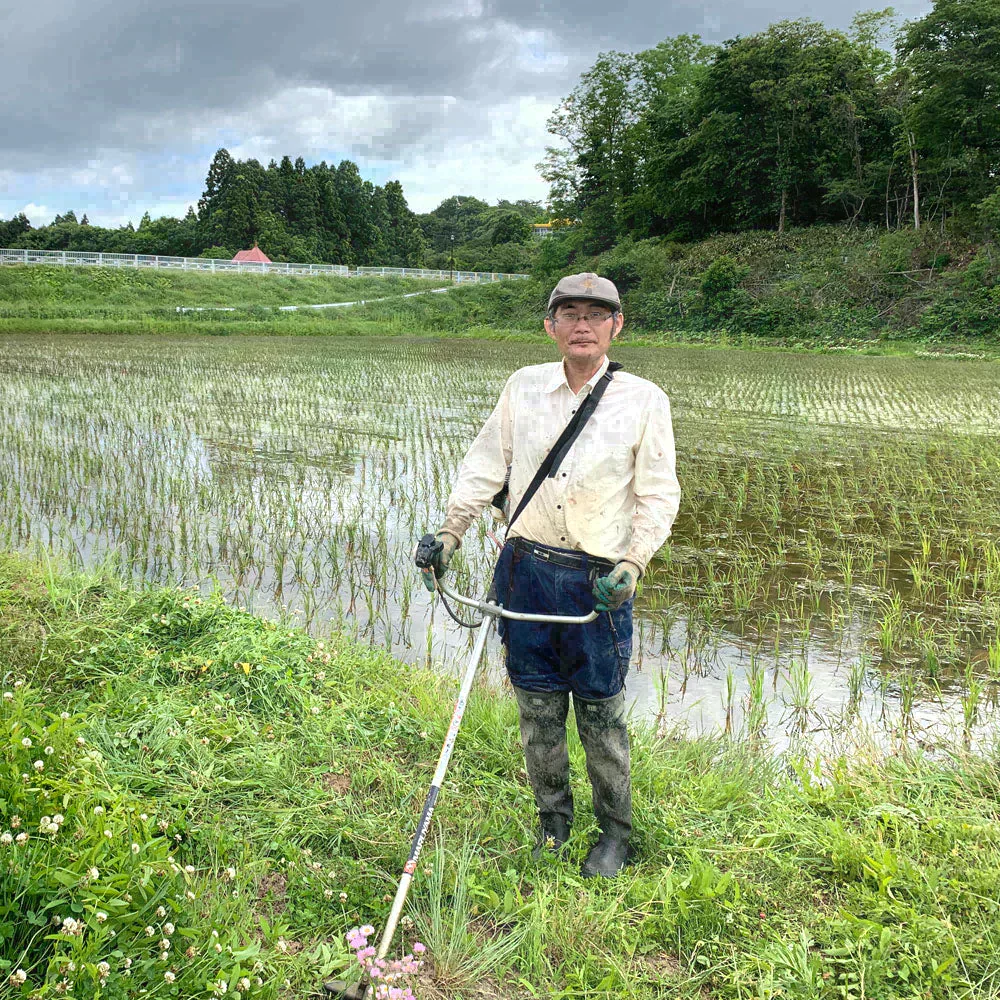 秋田県産 あきたこまち 無洗米20kg（5kg×4袋） 令和7年産 【古代米プレゼント付き】