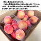 和歌山県産 すもも 大石早生 約4kg (約500g×8パック ) 2Lサイズ以上 2L 3Lサイズ プラム スモモ
